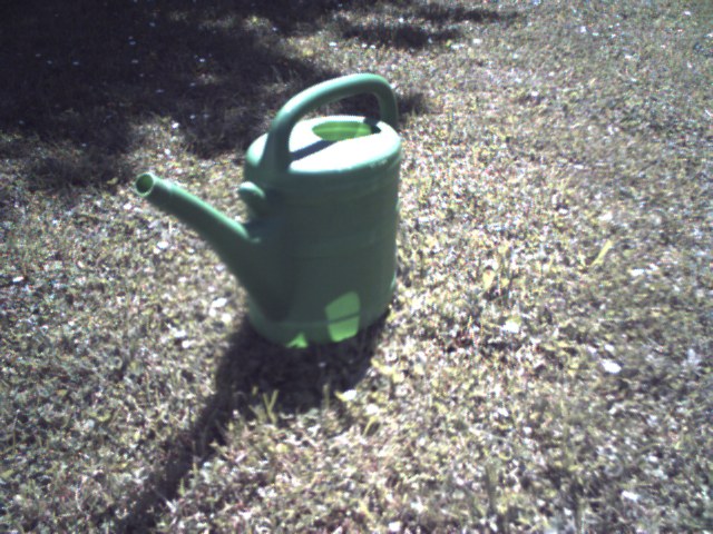 A watering can on the lawn, decoded from a Veo .pdb file